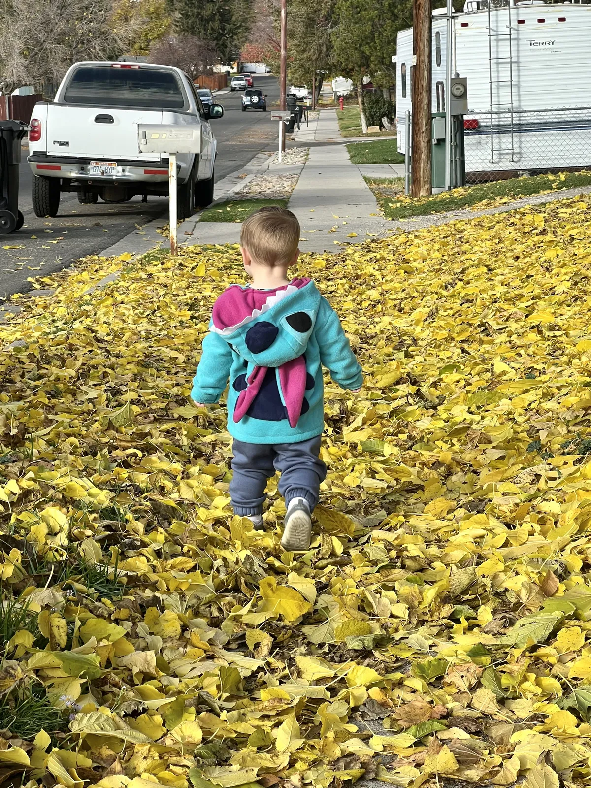 My son in his Stitch costume, walking through fall leaves