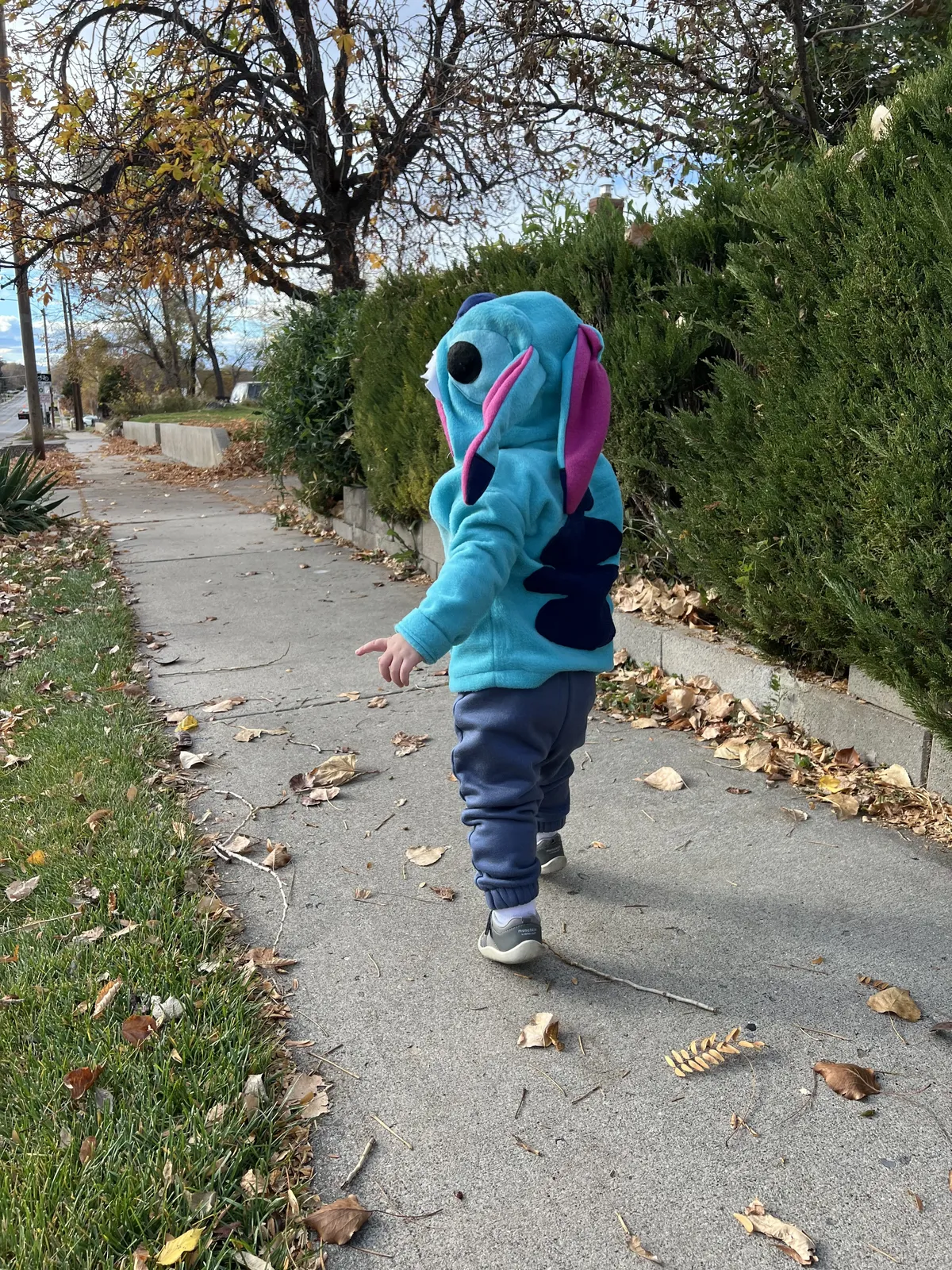 Back of the Stitch costume showing the ears and spots